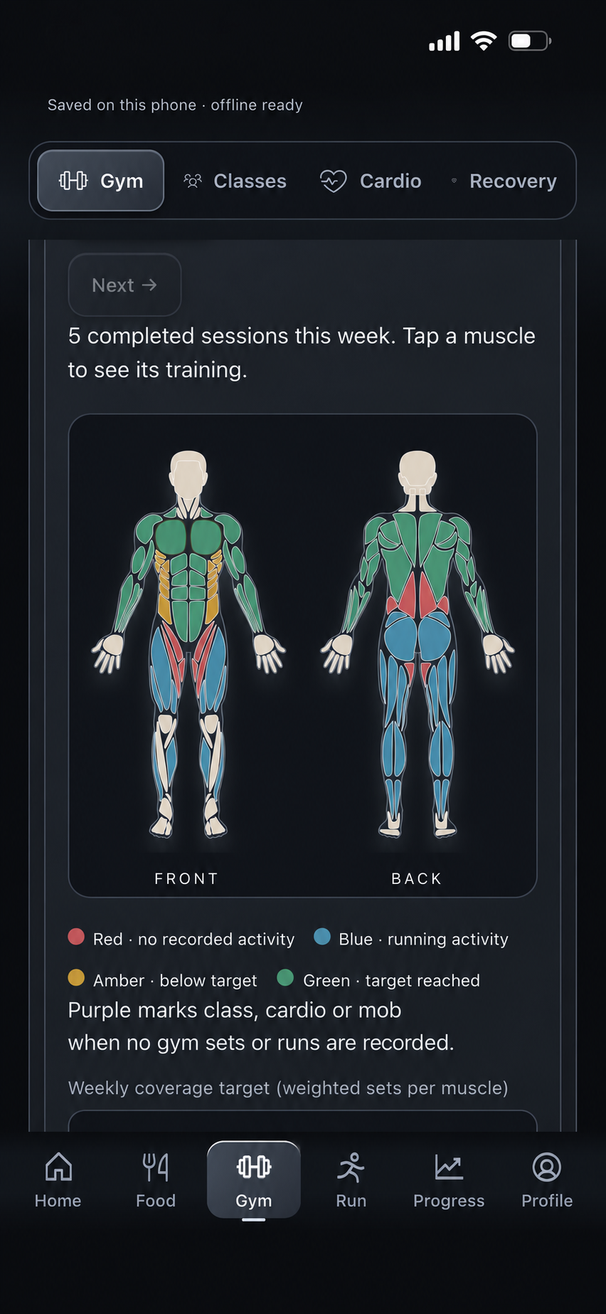 Weekly front and back muscle coverage, with running activity shown in blue